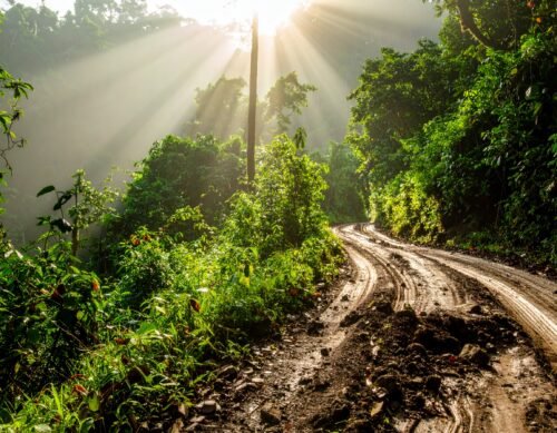 Muddy dirt road in the rainforest, showing typical off-road conditions when driving in Costa Rica.