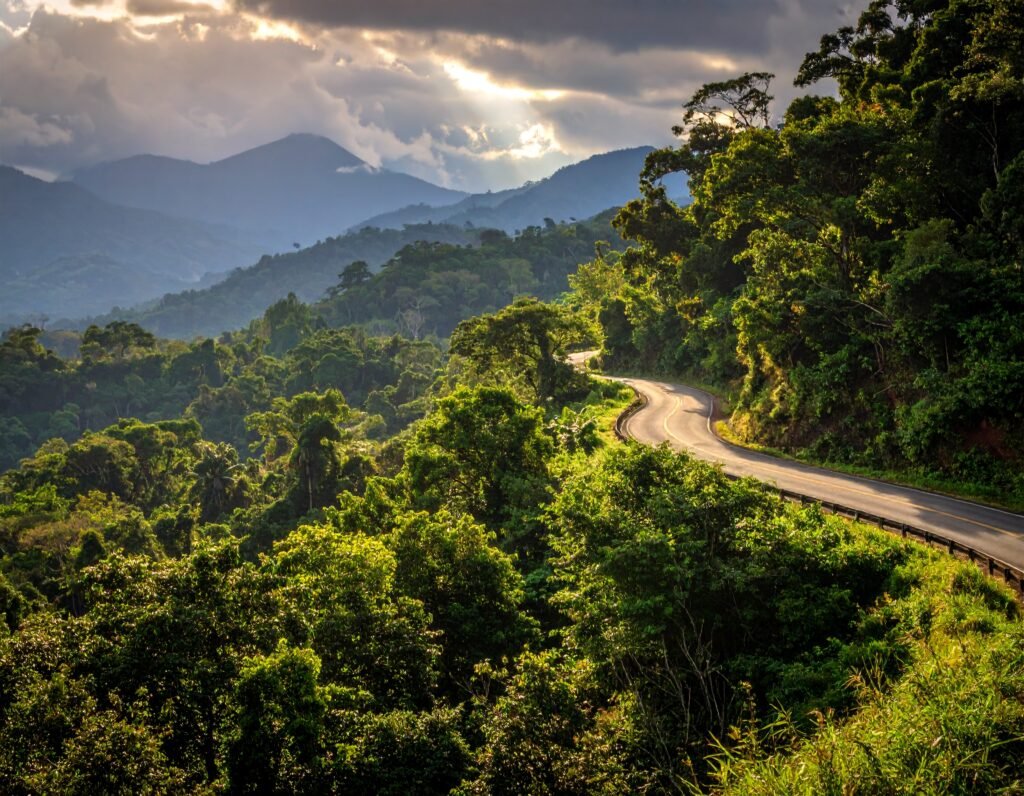 Paved mountain road surrounded by lush jungle, a scenic example of driving in Costa Rica.