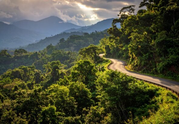 Paved mountain road surrounded by lush jungle, a scenic example of driving in Costa Rica.